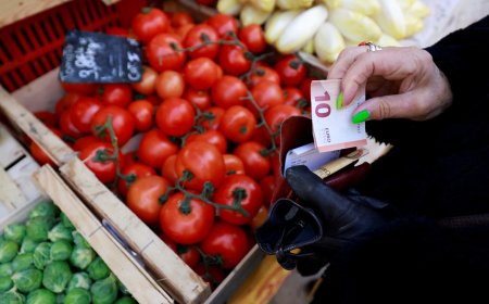 Crescimento da zona do euro supera expectativas no segundo trimestre
