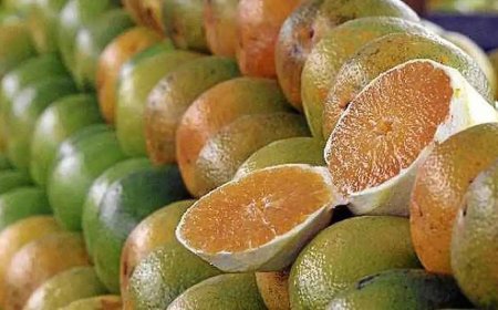 Exceções do tarifaço representam 43,4% do valor exportado aos EUA, diz Amcham