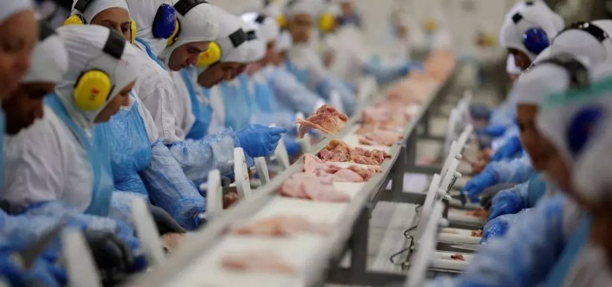 7 países retiram restrições à exportação de carne de aves do Brasil, diz Agricultura