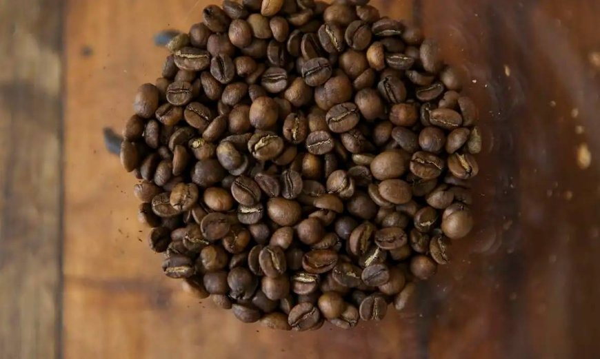Como tarifaço pode prejudicar exportações brasileiras de suco, café, carne e frutas
