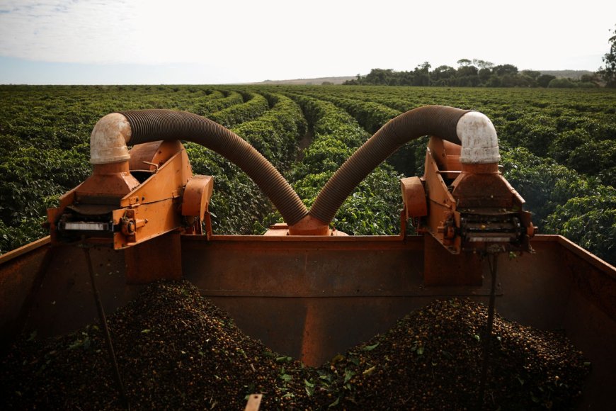 Mudanças climáticas afetam preços dos alimentos em nível global, mostra estudo