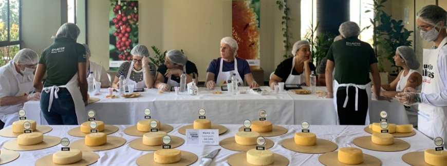 Abertas inscrições para a escolha dos melhores Queijos Artesanais de MG em 2025