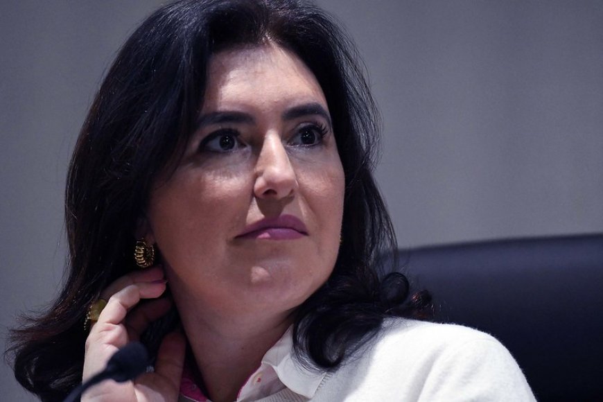 Governo terá respostas prontas quando tarifa dos EUA entrar em vigor, diz Tebet