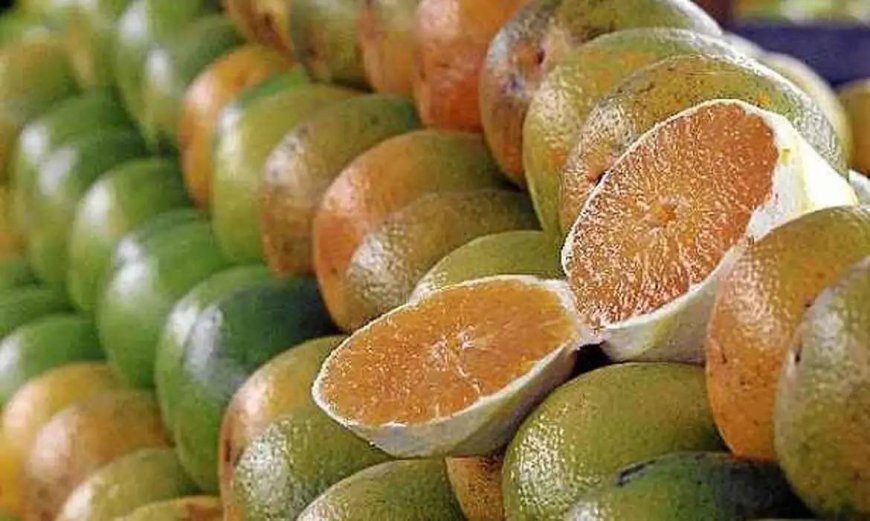 Exceções do tarifaço representam 43,4% do valor exportado aos EUA, diz Amcham
