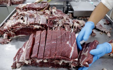 México ultrapassa EUA como segundo maior comprador de carne bovina brasileira