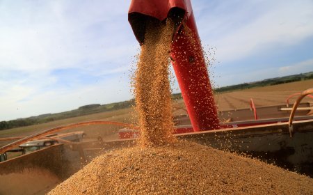 Inflação medida pelo IGP-DI cai 0,07% em julho, menos que o esperado