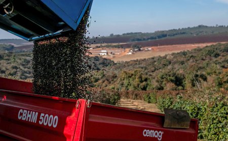 O que esperar do pacote do governo para amenizar impacto do tarifaço de Trump