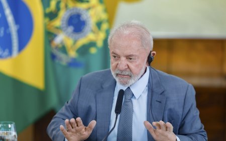 Tarifaço: ajuda do governo pode conter 3 medidas para apoio a empresas, diz jornal
