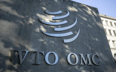OMC confirma queixa formal do Brasil contra tarifaço de Trump