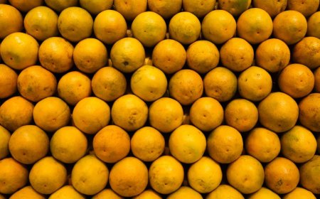 Tarifa de 50% atinge subprodutos do suco de laranja e prejuízo alcança R$ 1,54 bilhão