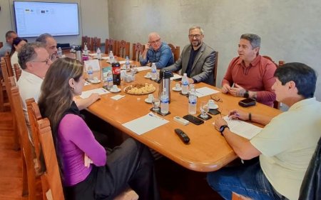 Começam os preparativos para a iluminação e decoração natalina de 2025