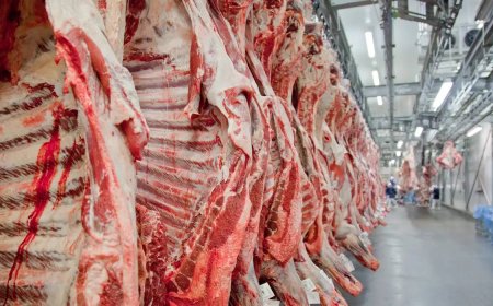 Brasil abre mercado da Indonésia para carne bovina com osso, miúdos e outros