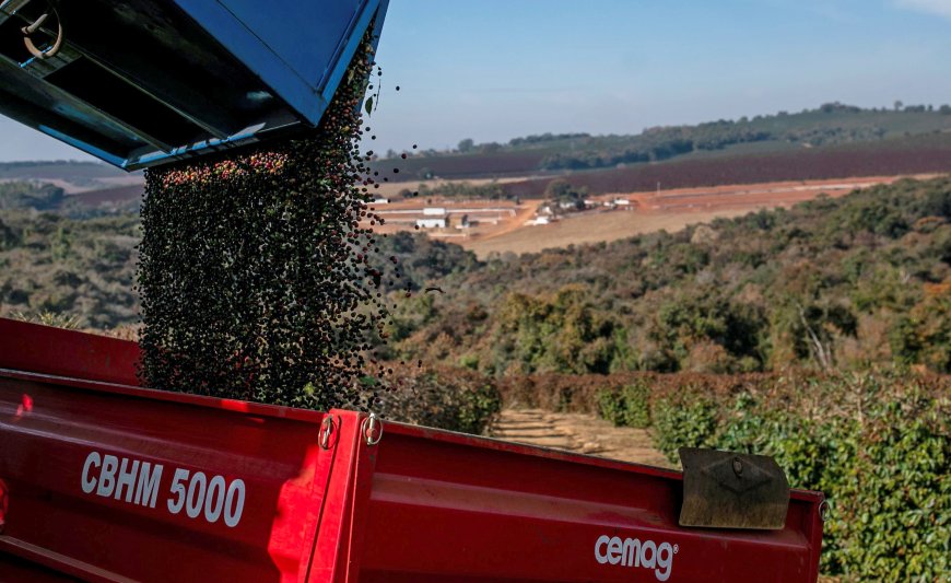 O que esperar do pacote do governo para amenizar impacto do tarifaço de Trump