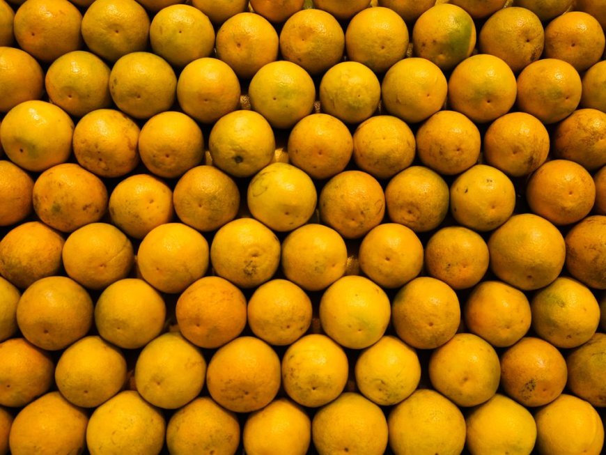 Tarifa de 50% atinge subprodutos do suco de laranja e prejuízo alcança R$ 1,54 bilhão