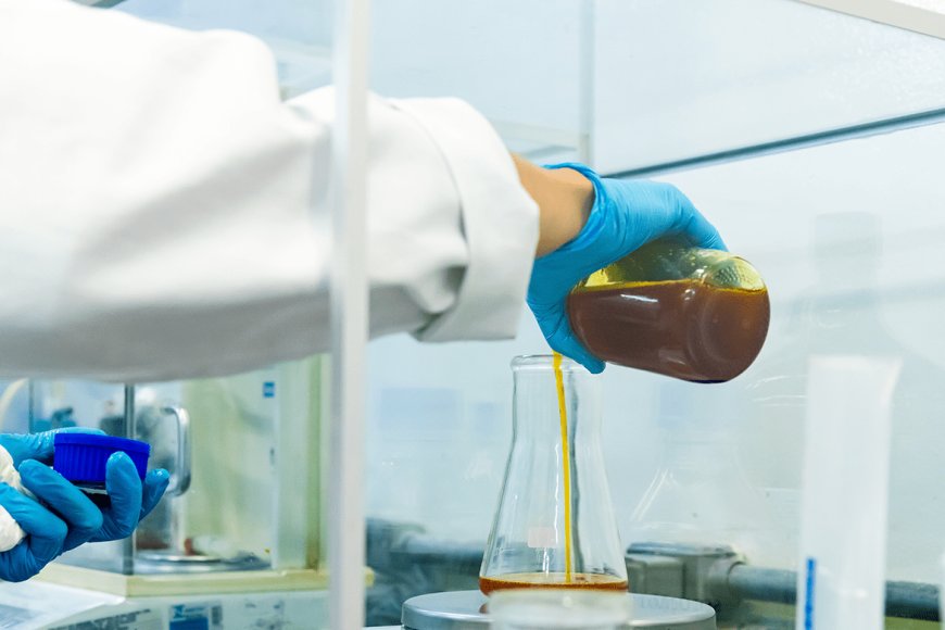 Uso de sebo para biodiesel no Brasil deve crescer com exportação afetada por tarifaço