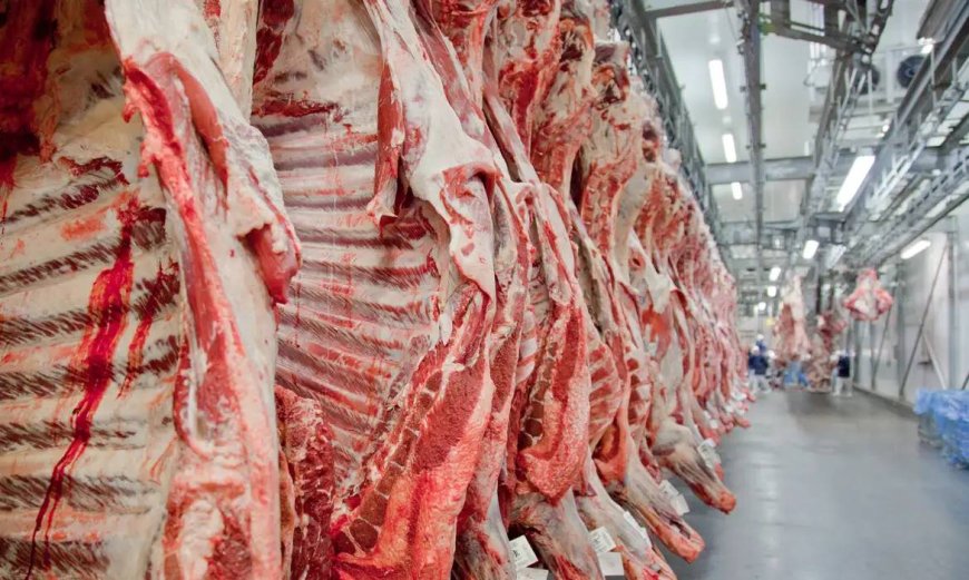 The AgriBiz: Carne bovina ignora tarifaço e deve ter recorde de exportação em agosto 