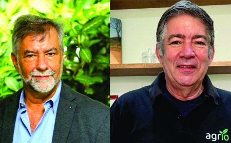 Prêmio CBMM de Ciência e Tecnologia anuncia os vencedores de 2025
