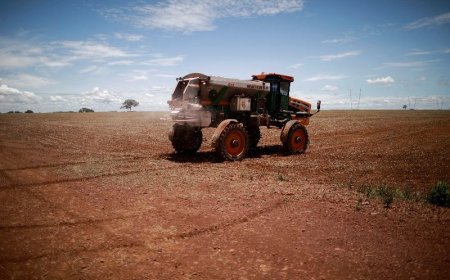 Mercado de fertilizantes no Brasil tem alta de 10,5% no 1ª semestre, diz Anda