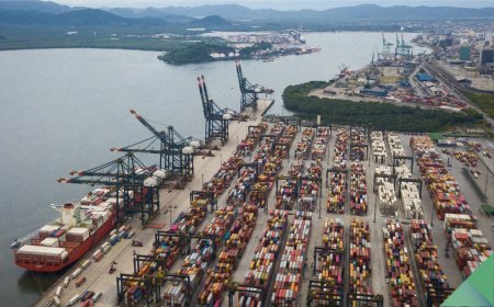 Efeito “tarifaço”: exportações do Brasil para os EUA caem 18,5% em agosto