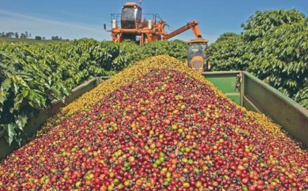 Exportações mineiras para os EUA caem 49,5%