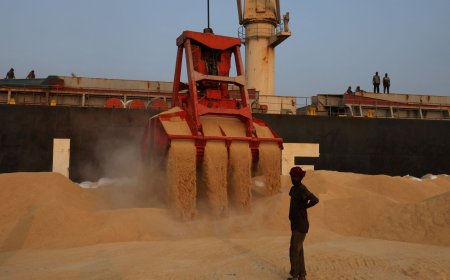 China bate recorde de importação de soja em agosto; Brasil continua como destaque