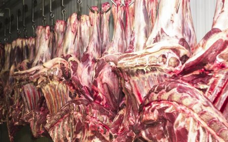 Exportação de carne bovina do Brasil deve crescer 12% em 2025, prevê Abiec