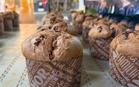 Então é Natal? Marcas antecipam vendas e panetone já está no varejo