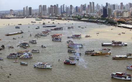Norte do Brasil busca novos mercados após aumento tarifário dos EUA, diz ApexBrasil