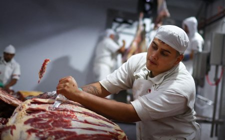 Setor de carne bovina do Brasil realoca embarques e crescerá até 14%, diz Abiec