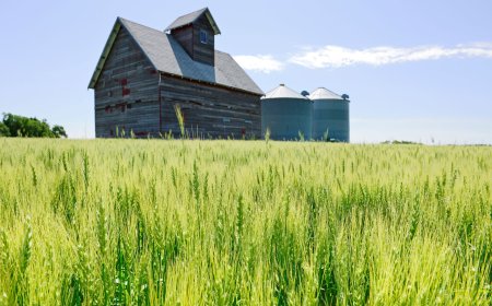 Republicanos alertam que, sem ajuda do governo, agricultores dos EUA terão calamidade