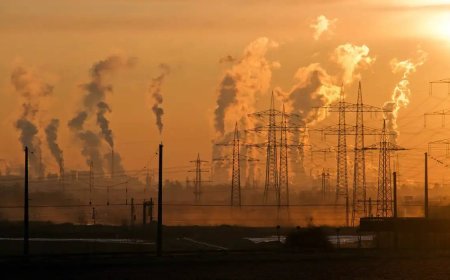 Maiores emissores de gases de efeito estufa ainda não revisaram metas