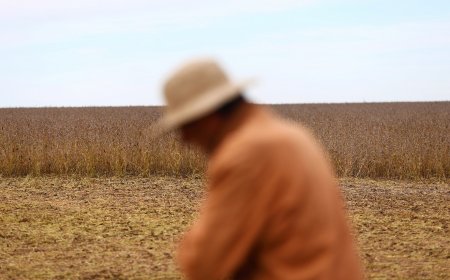 The AgriBiz: Em 72h, exportação de grãos garantiu US$ 7 bi à Argentina – e queixas