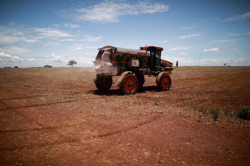 Mercado de fertilizantes no Brasil tem alta de 10,5% no 1ª semestre, diz Anda