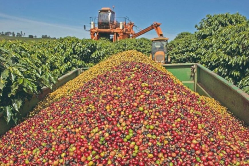 Exportações mineiras para os EUA caem 49,5%