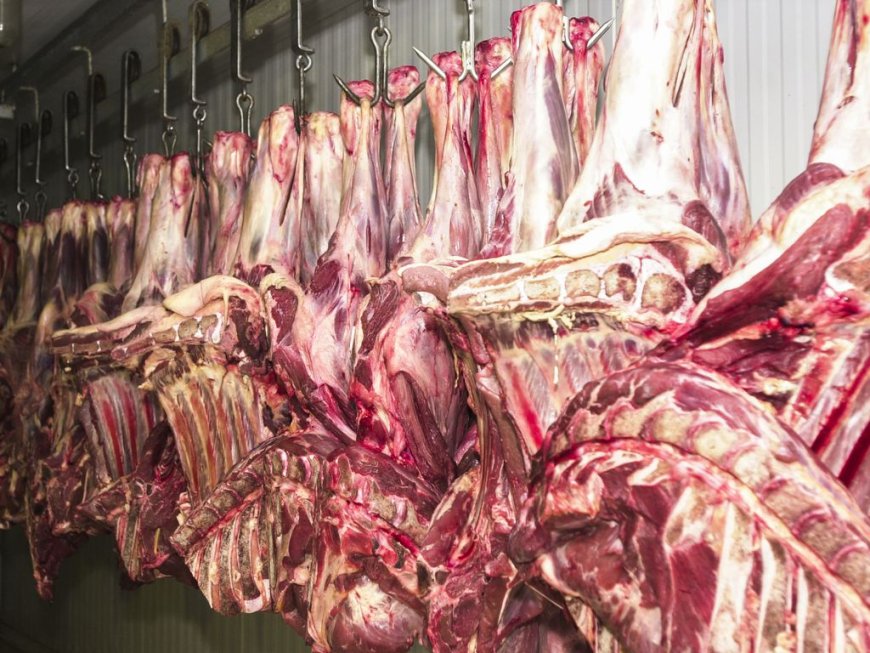 Exportação de carne bovina do Brasil deve crescer 12% em 2025, prevê Abiec