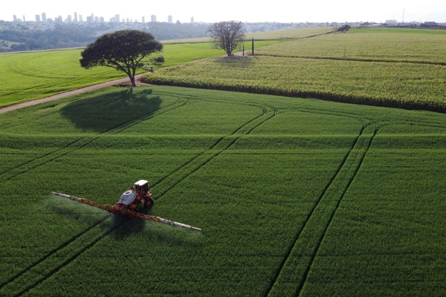 Receita com exportação do agronegócio do Brasil cresce 1,5% em agosto, diz ministério