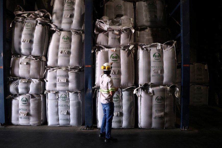 Preços do café se aproximam de recorde em NY em meio a tarifas e clima no Brasil
