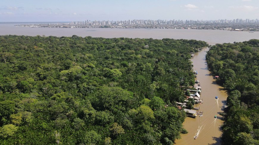 Brasil vai investir US$ 1 bilhão em fundo para proteção de florestas, dizem fontes