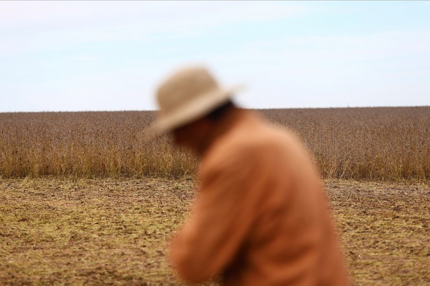 The AgriBiz: Em 72h, exportação de grãos garantiu US$ 7 bi à Argentina – e queixas