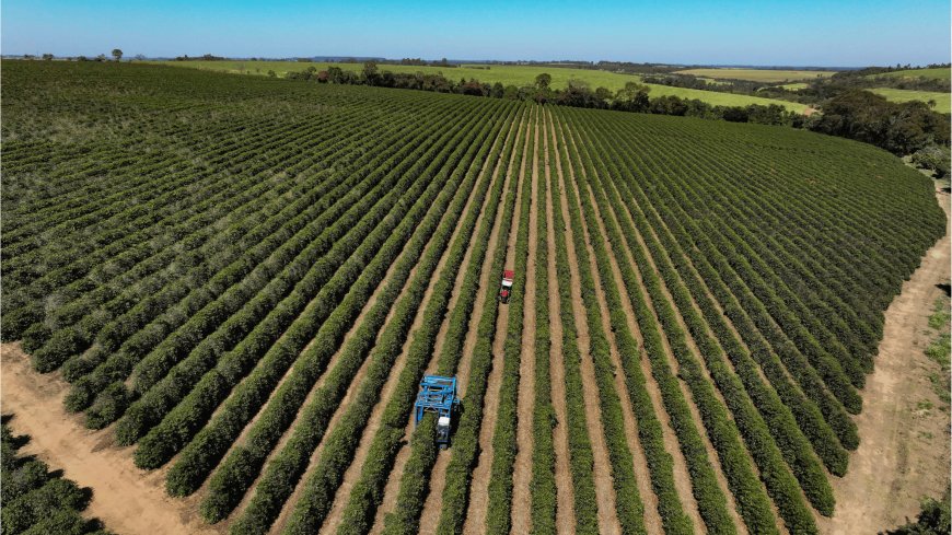 Pedidos de recuperação judicial no agronegócio disparam 32% no 2º tri, diz Serasa