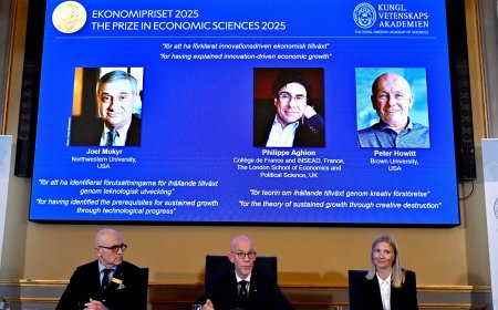Nobel de Economia: teoria levanta debate sobre redes e tarifas, diz economista