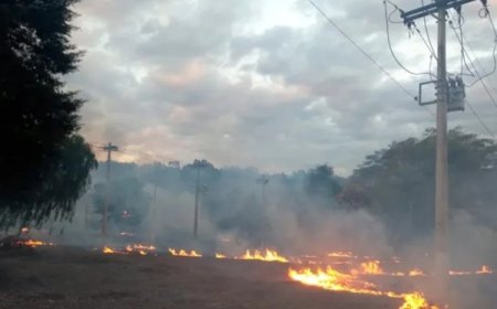 Queimadas deixam 11 mil sem energia