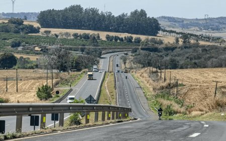 Grupo Pátria vence leilão do Lote 5 de rodovias do Paraná com desconto de 23,83%