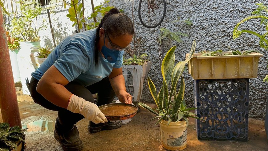 A dengue já matou 5 pessoas este ano em Araxá