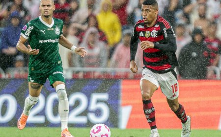 Palmeiras e Flamengo decidem 1º tetra brasileiro na Libertadores
