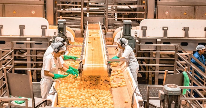 Bem Brasil fatura R$ 4 bi apostando na linha de produtos para air fryer