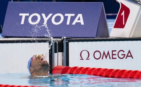 Prêmio Brasil Paralímpico consagra estrelas da natação
