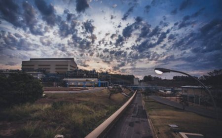 CBMM divulga meta intermediária de redução de emissões e reforça seu compromisso rumo a neutralidade em 2040
