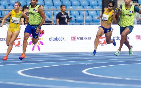 Retrospectiva: atletismo e judô são destaques na temporada paralímpica