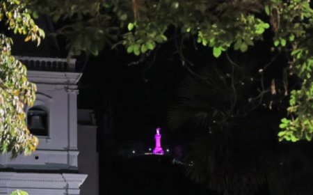 JF substituirá fogos por luzes